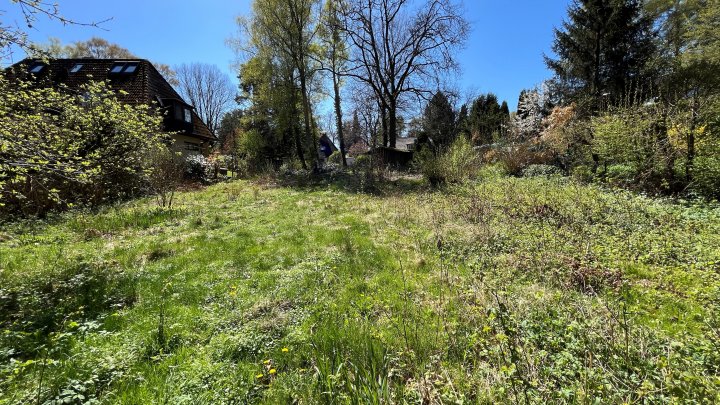 Natur pur direkt nebenan und dennoch zu Fuß zur U1 – Idyllisches Grundstück in ruhiger Lage