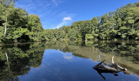 Idylle gleich nebenan