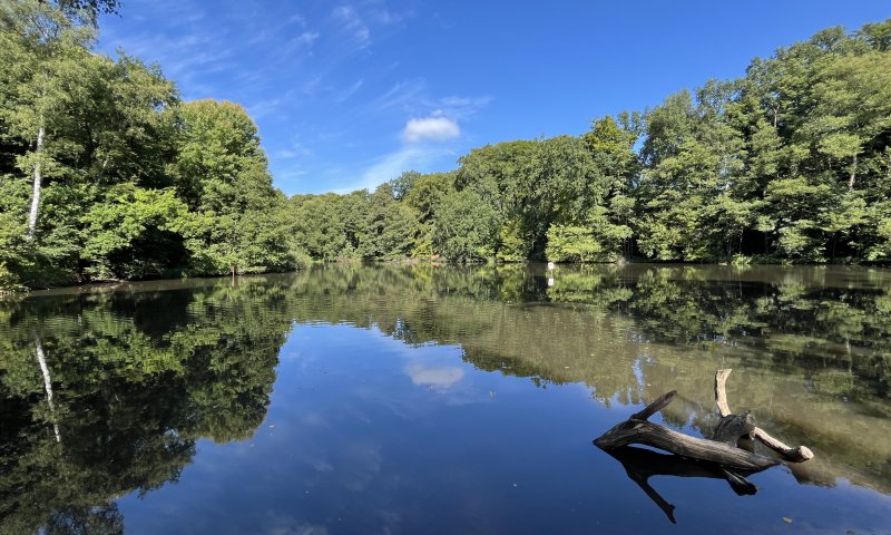 Natur pur direkt nebenan und dennoch zu Fuß zur U1 – Idyllisches Grundstück in ruhiger Lage