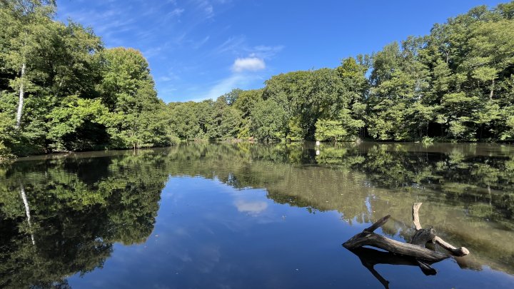 Natur pur direkt nebenan und dennoch zu Fuß zur U1 – Idyllisches Grundstück in ruhiger Lage