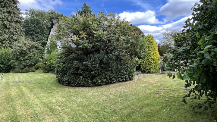 Anpacken und schönmachen - sanierungsbedürftig, viel Platz und herrlicher Garten