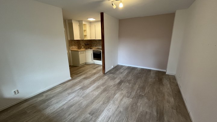 Keine Käuferprovision - herrlich ruhig, Südbalkon, Tiefgarage und ein Katzensprung ins Zentrum