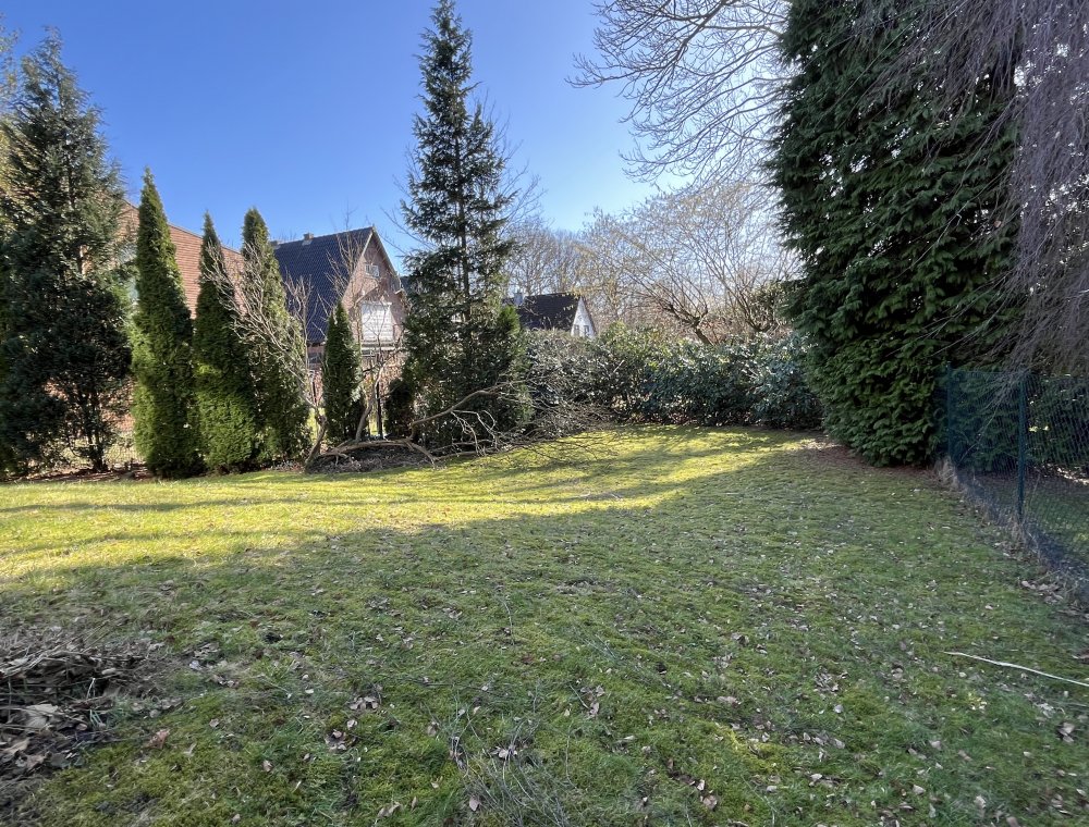 Blick in den Garten