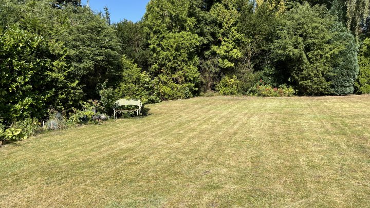 Volksdorf, wie man es liebt – herrlich ruhige Lage, Südterrasse, Gartennutzung und eigene Garage